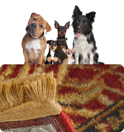 Waterproof Rug Pad – Pet Friendly Rugs